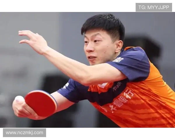 乒乓球灵活性评比揭晓上海乒乓球队荣登榜首引发热议