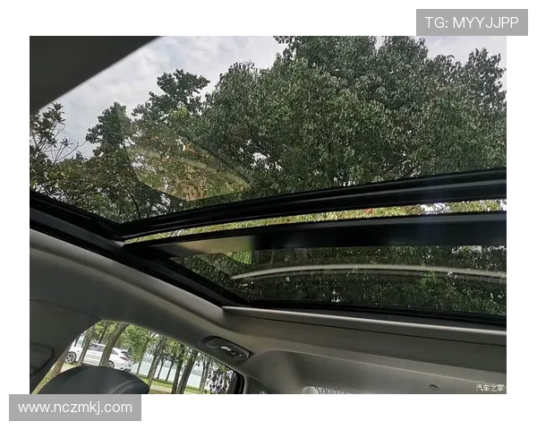 武汉飞盘队在世界街舞大赛中的精彩表现与成长历程全景回顾